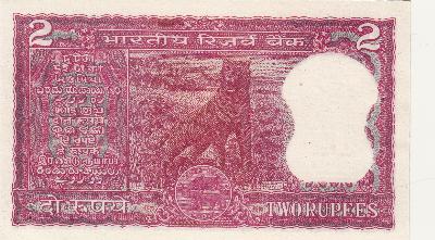 Beschrijving achterzijde: TIGER